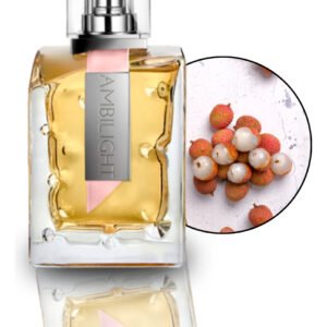 Perfume Lonkoom Ambilight Eau De Parfum Feminino 100 Ml