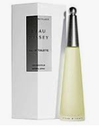 Perfume Issey Miyake L´eau D´Issey EDT Fem 100ml